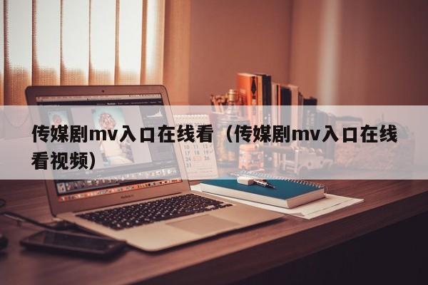 传媒剧mv入口在线看(传媒剧mv入口在线看视频)