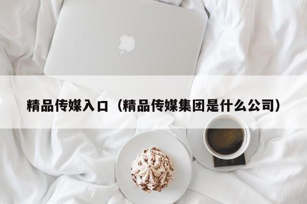 精品传媒入口(精品传媒集团是什么公司)