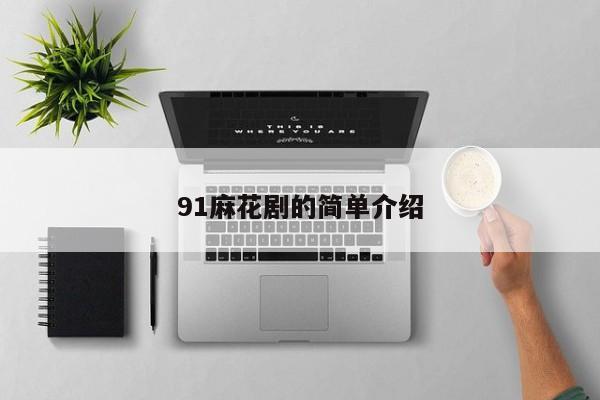 91麻花剧的简单介绍